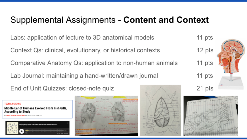 Different supplemental assignments that students may choose to complete and how many points total these assignments are worth, above various images depicting the middle ear of humans evolved from fish gills.